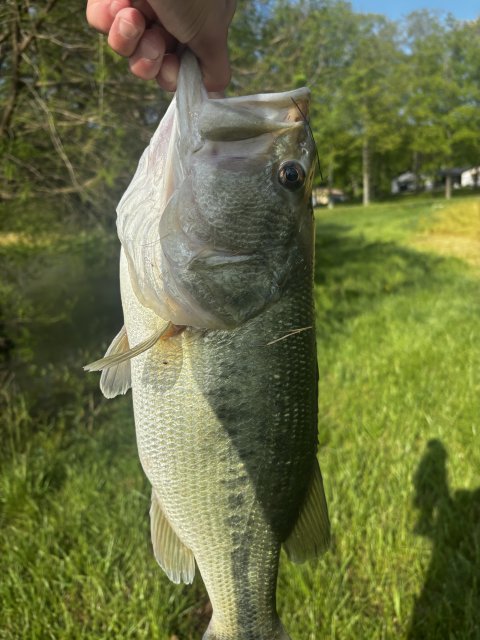 Boyd Battle Story Catch