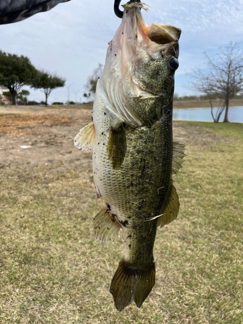 Ron Heredia Story Catch