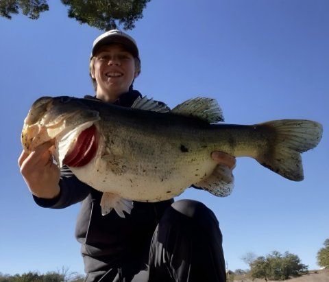 Bo Schwob Story Catch