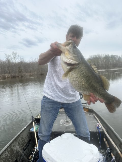 Jimbo Martin Story Catch