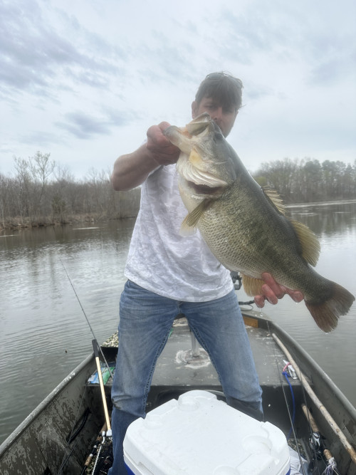 Jimbo Martin Story Catch