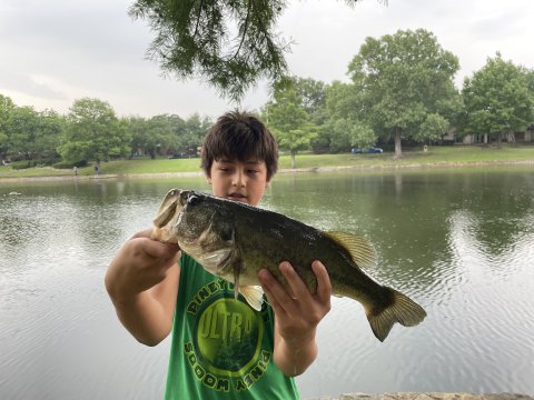 Martin Strommen Story Catch