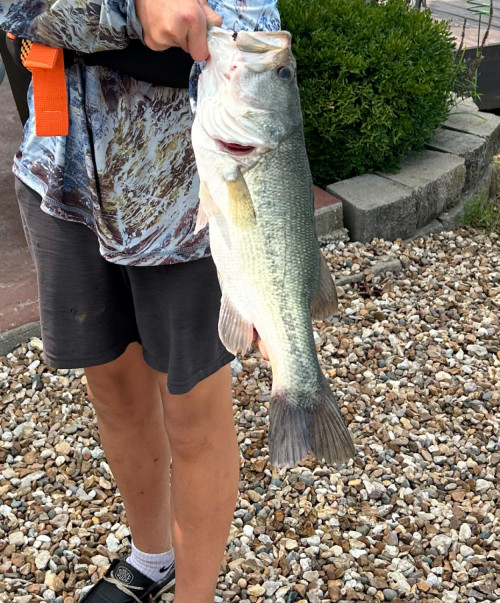 Xavier Mayfield Story Catch