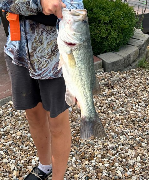 Xavier Mayfield Story Catch