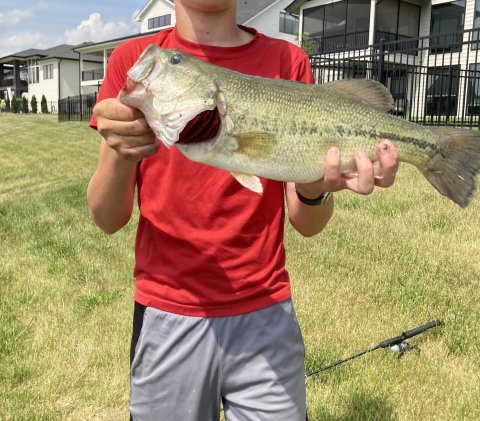 Preston Farrell Story Catch