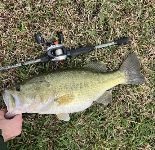 Hudson Russo Story Catch