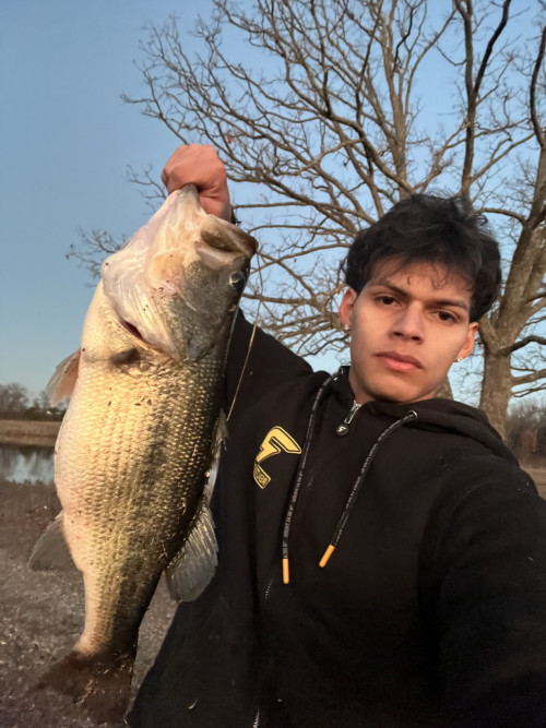 Luis Hernandez Story Catch