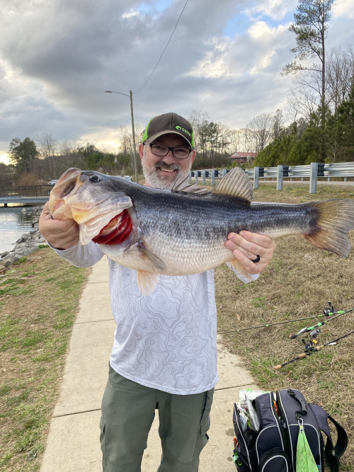 Keith Stone Story Catch