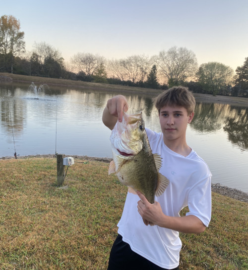 Owen Manning Story Catch