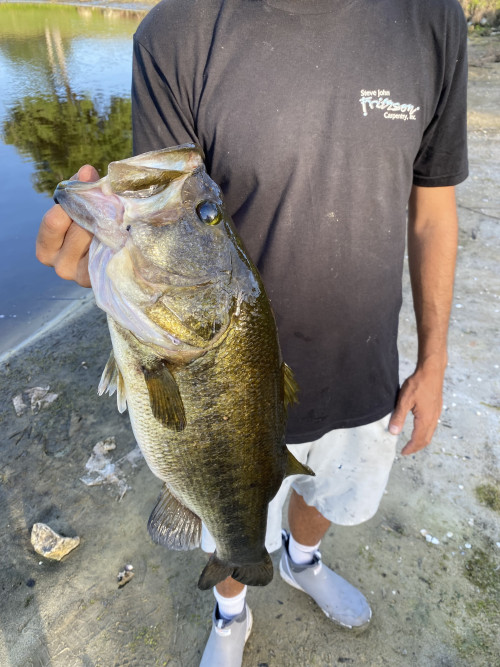 Easton Stewart Story Catch