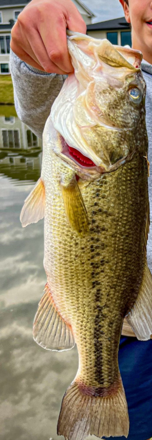 Adriel Torres Story Catch