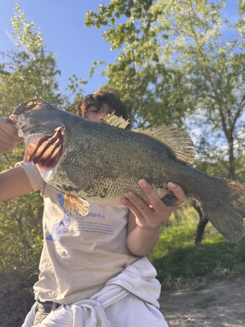 Bayly Chen Story Catch