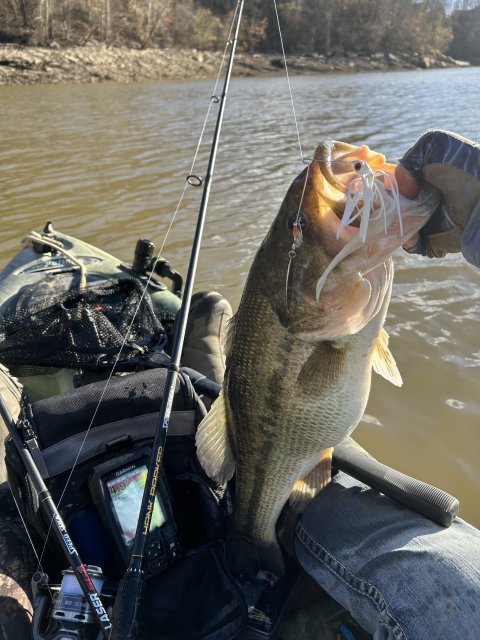 Jimmy Mattingly Story Catch