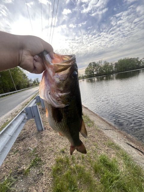 Anthony Deshields Story Catch
