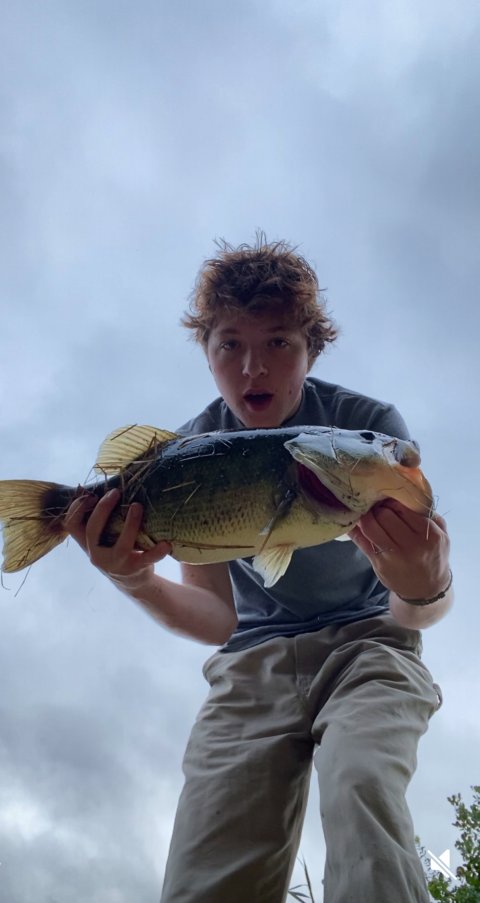 Emmett Reardon Story Catch