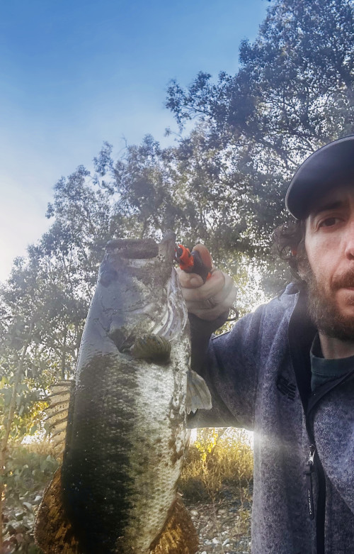 Andrea Mecatti Story Catch