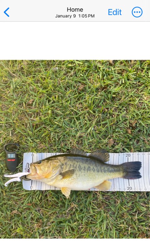 Daniel Piedra Story Catch