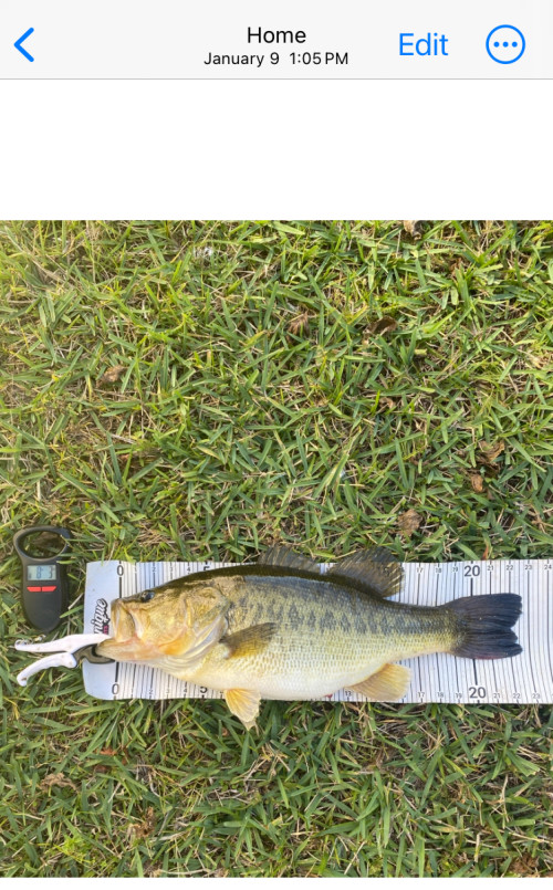 Daniel Piedra Story Catch