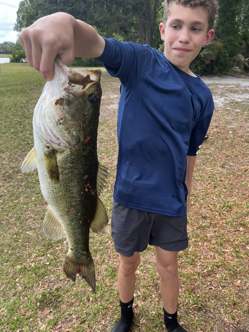 Bennett Sander Story Catch