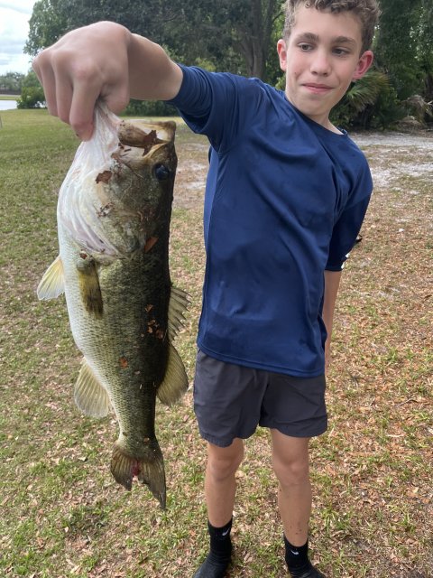 Bennett Sander Story Catch