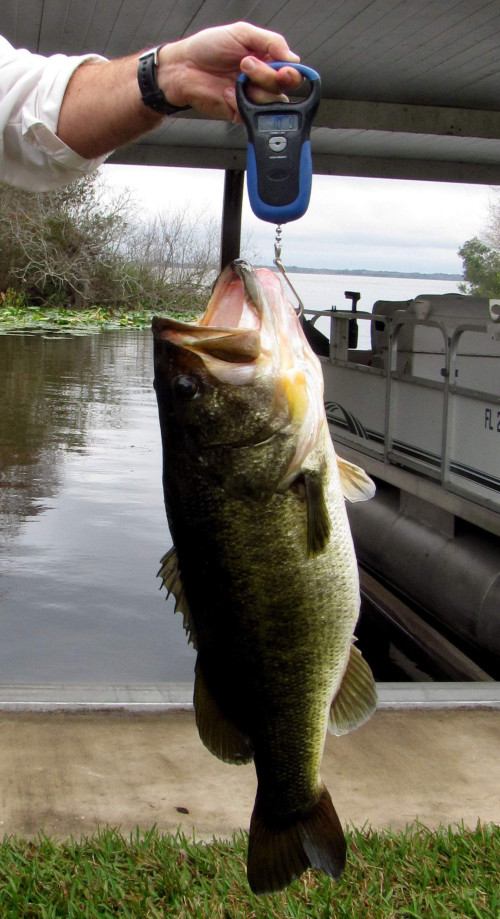 Rob Purser II Story Catch