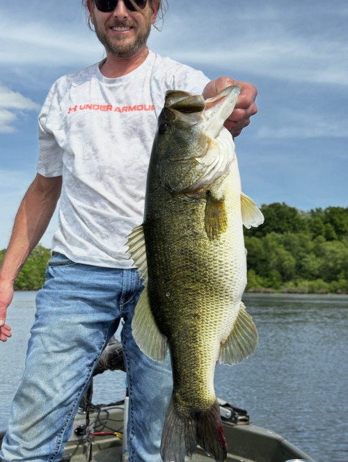 James Martin Story Catch