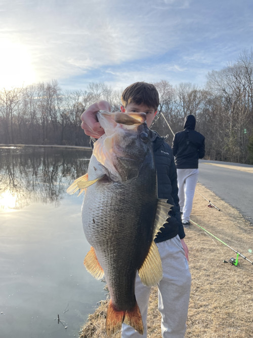 Julien Vasaune Story Catch