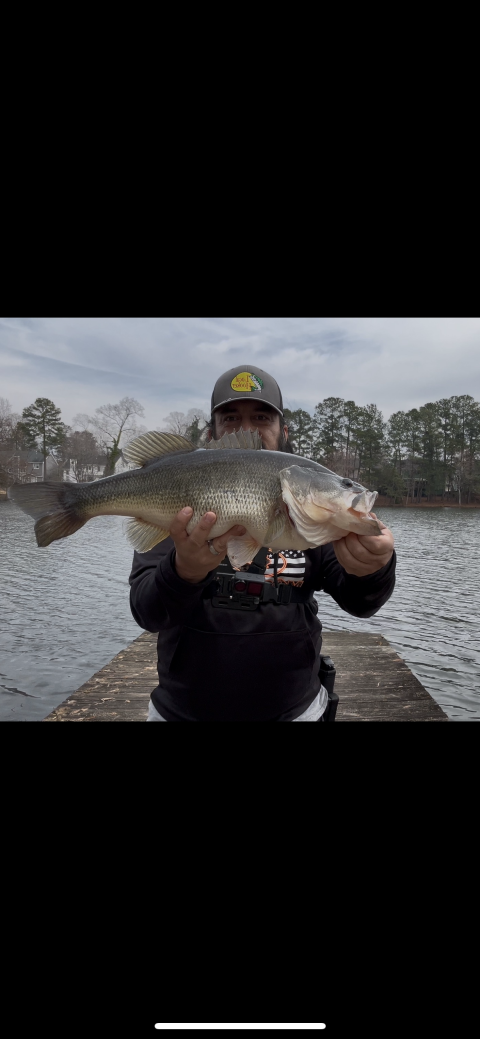 Danny Mares Story Catch