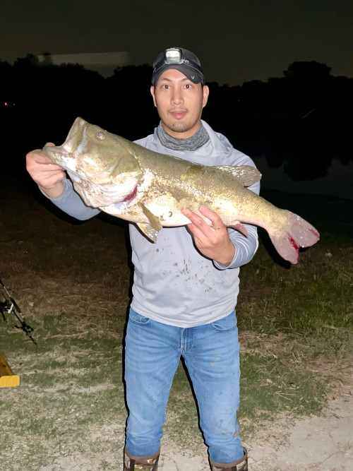 David Lieu Story Catch