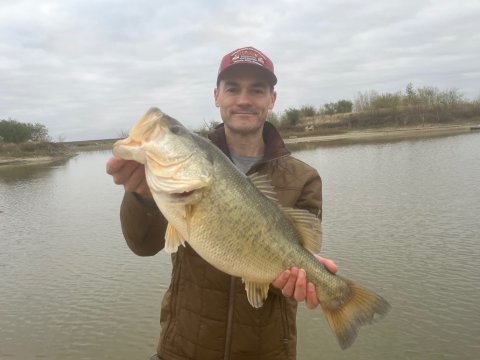 Paul Seifert Story Catch