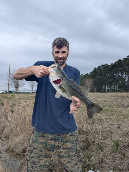 RYAN COOK Story Catch