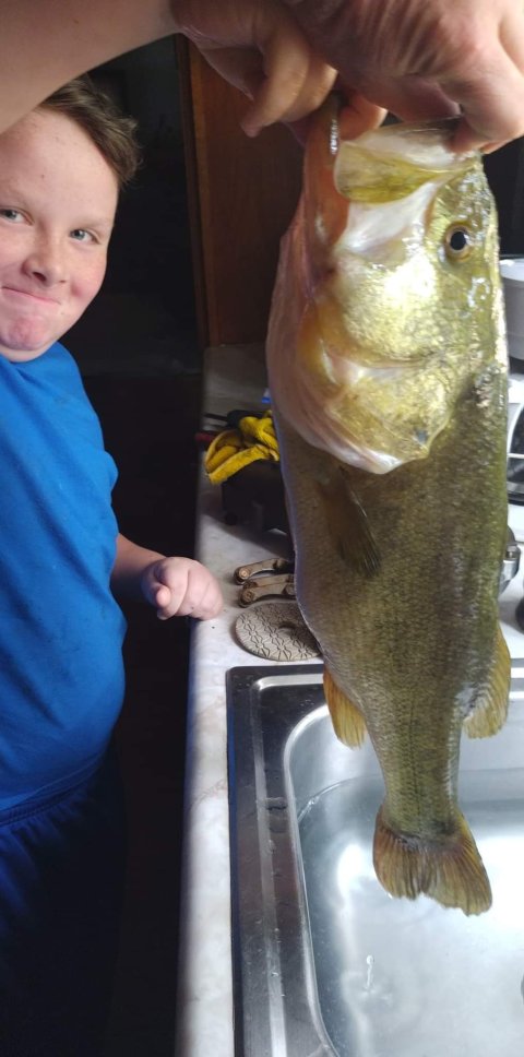 Roy Millsap Story Catch