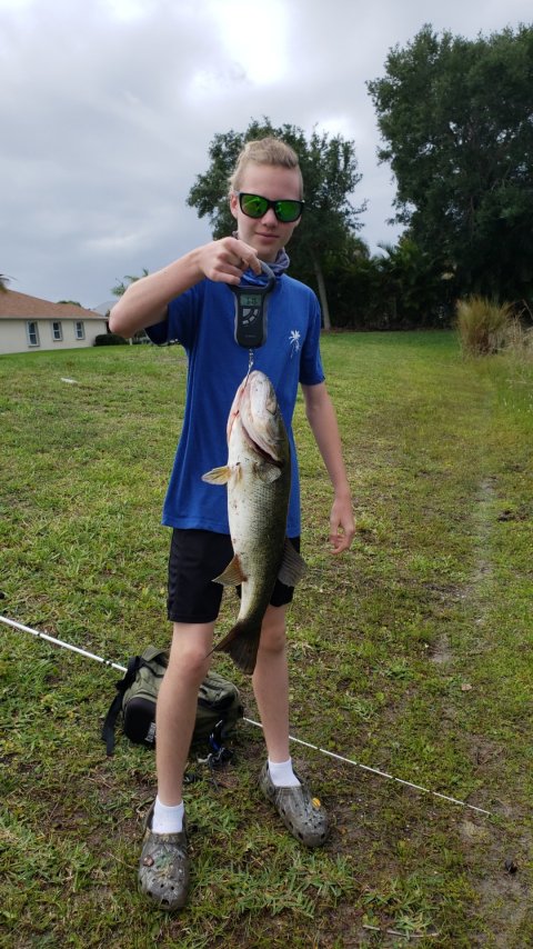 Greyson Roman Story Catch