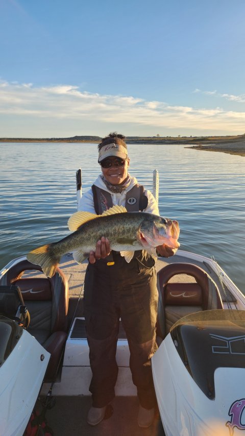 LaBoria Willis Story Catch