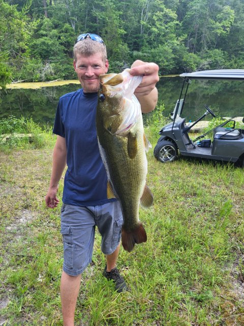 Tony Hinson Story Catch