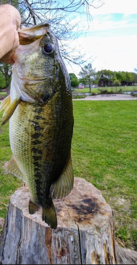 Allan Schmidt Story Catch