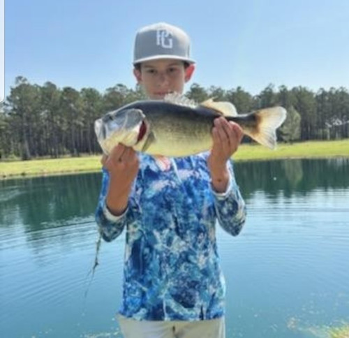 Griffin Harrison Story Catch