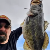 untitled-design-(29)