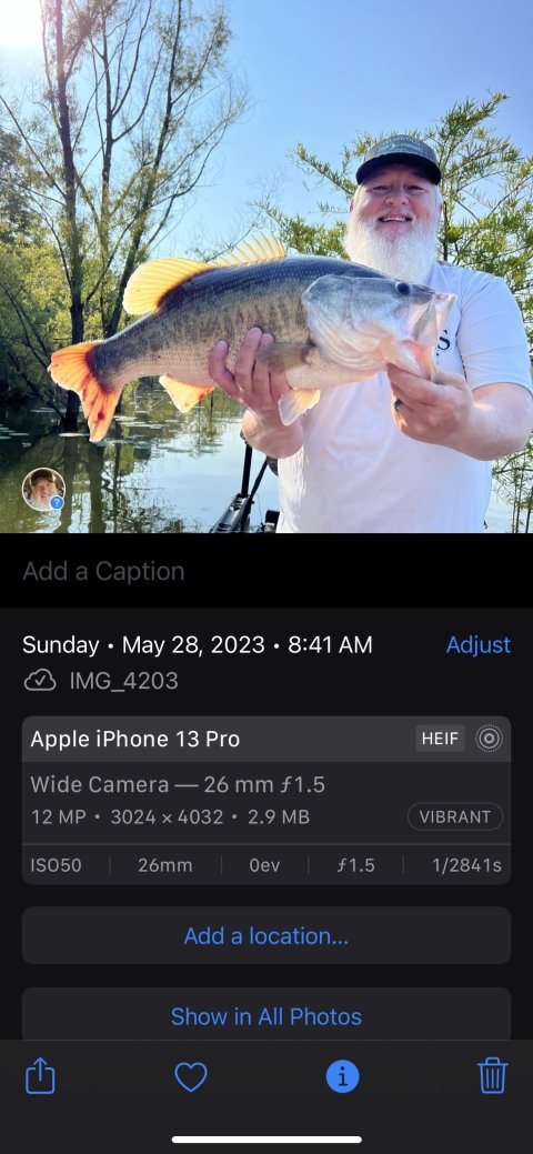 Tim Harper Story Catch