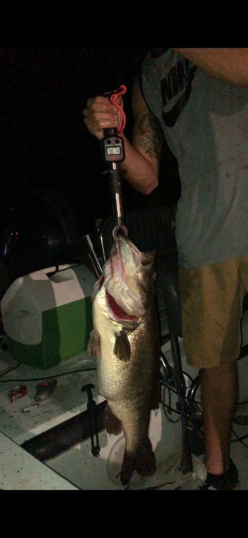 John Proctor Story Catch