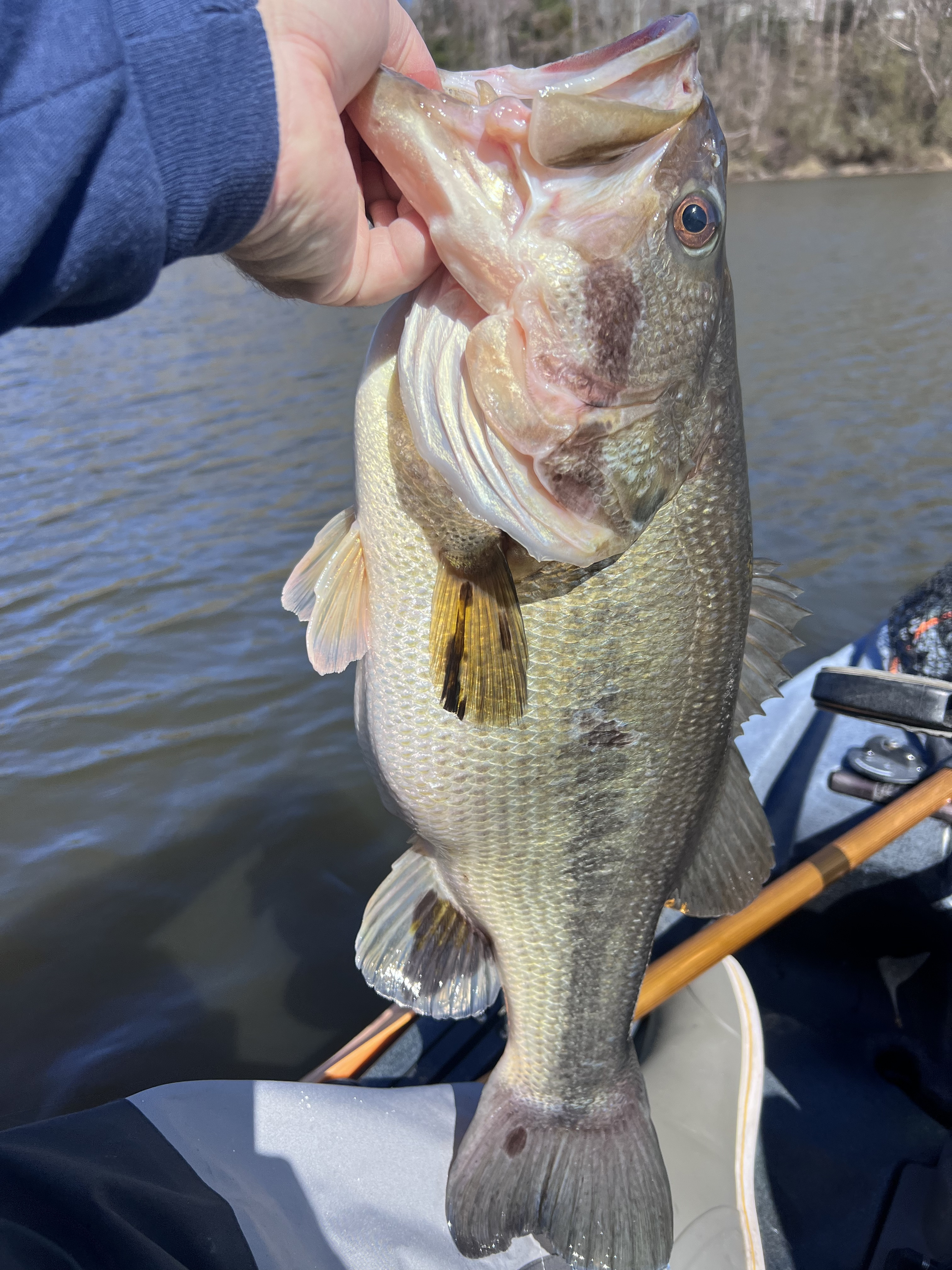 Customer Catch Story: William Jones