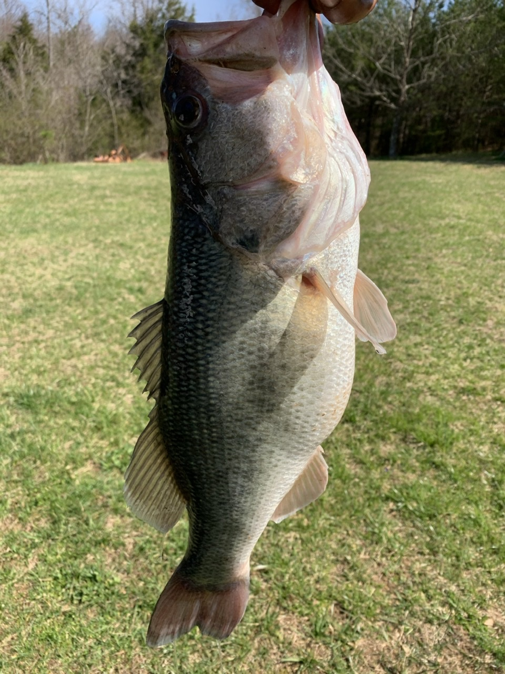 Customer Catch Story: ShUn Hughes