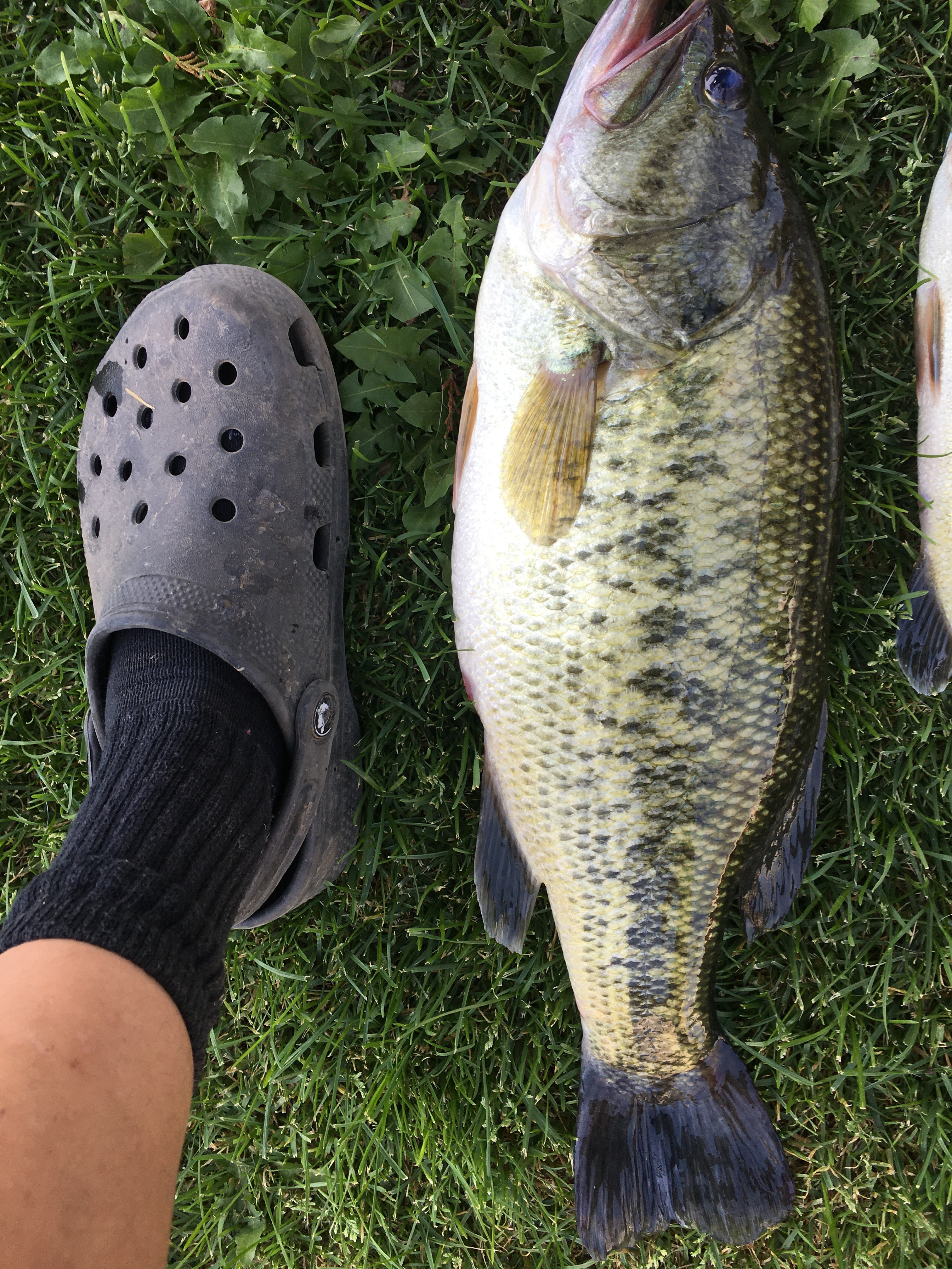 Customer Catch Story: Angel Mendoza