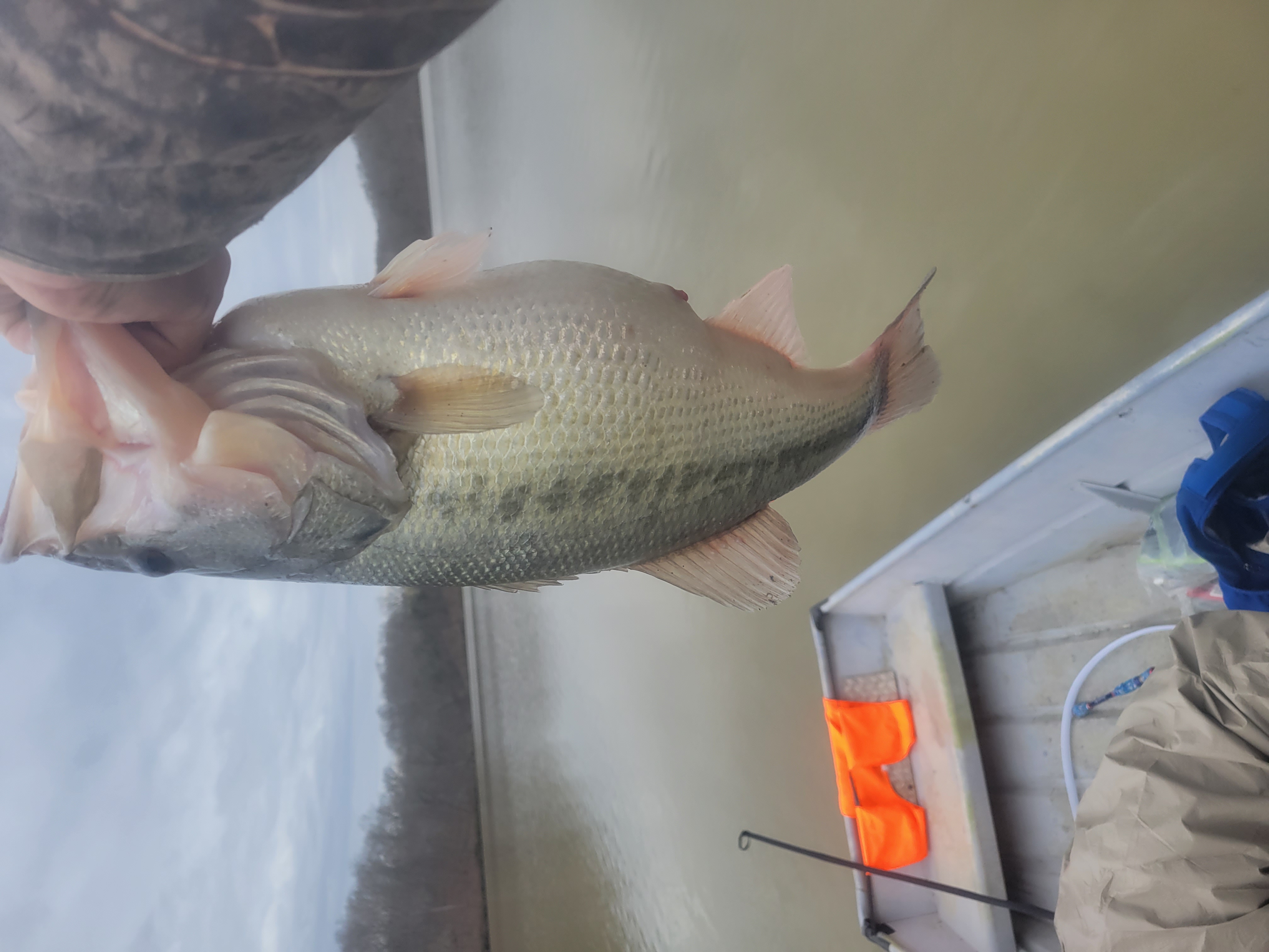 Customer Catch Story: Aj Massa