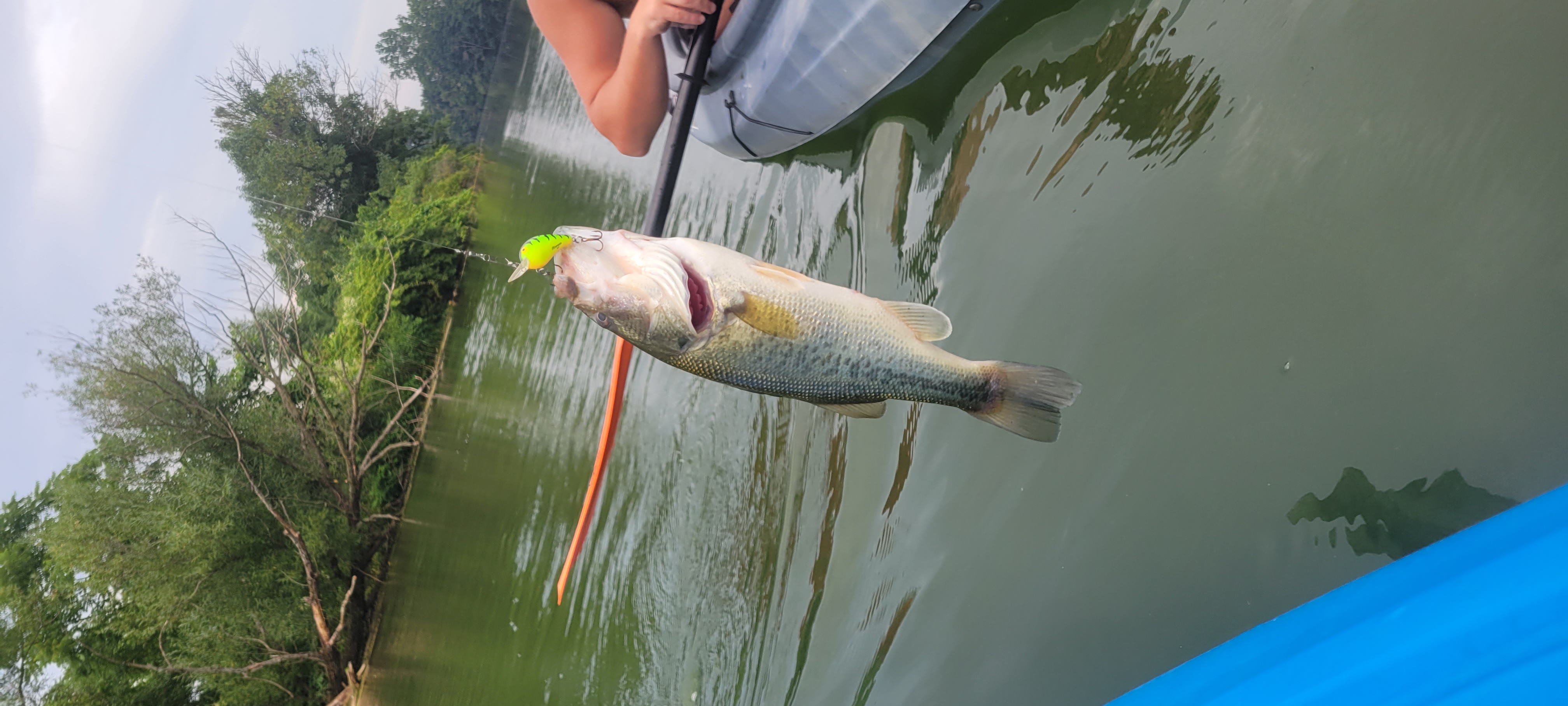 Customer Catch Story: Morris CARVELL