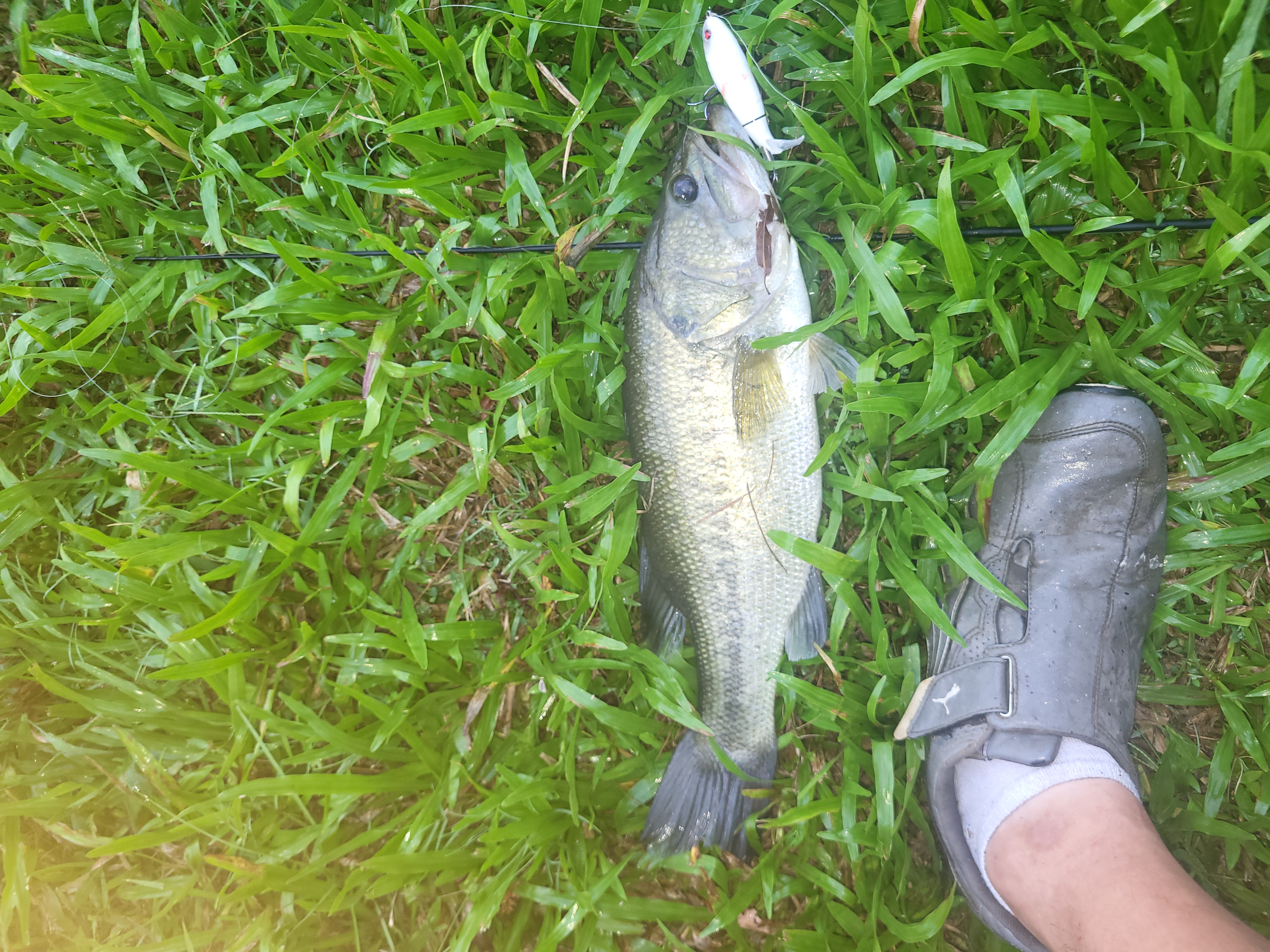Customer Catch Story: Mike Moses
