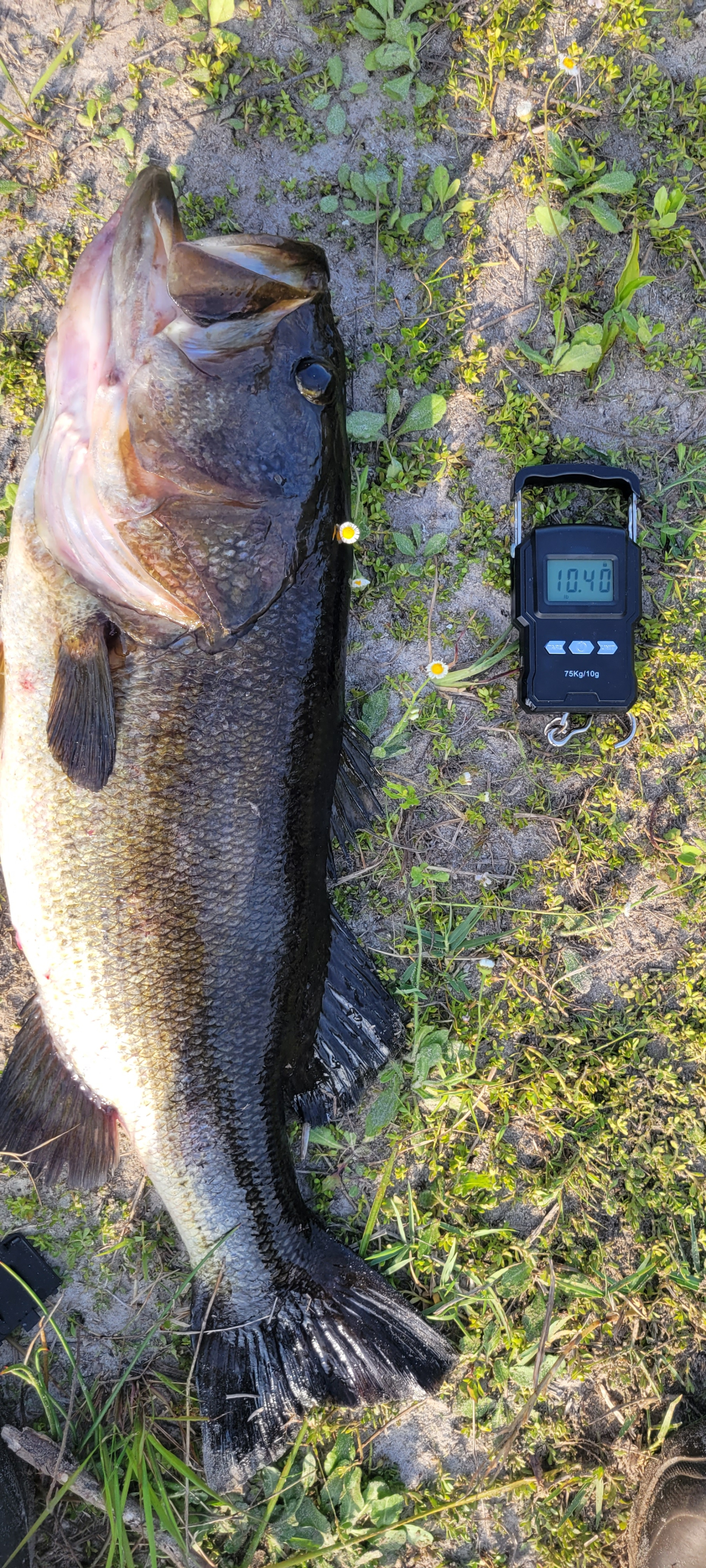 Customer Catch Story: Billy Ashley
