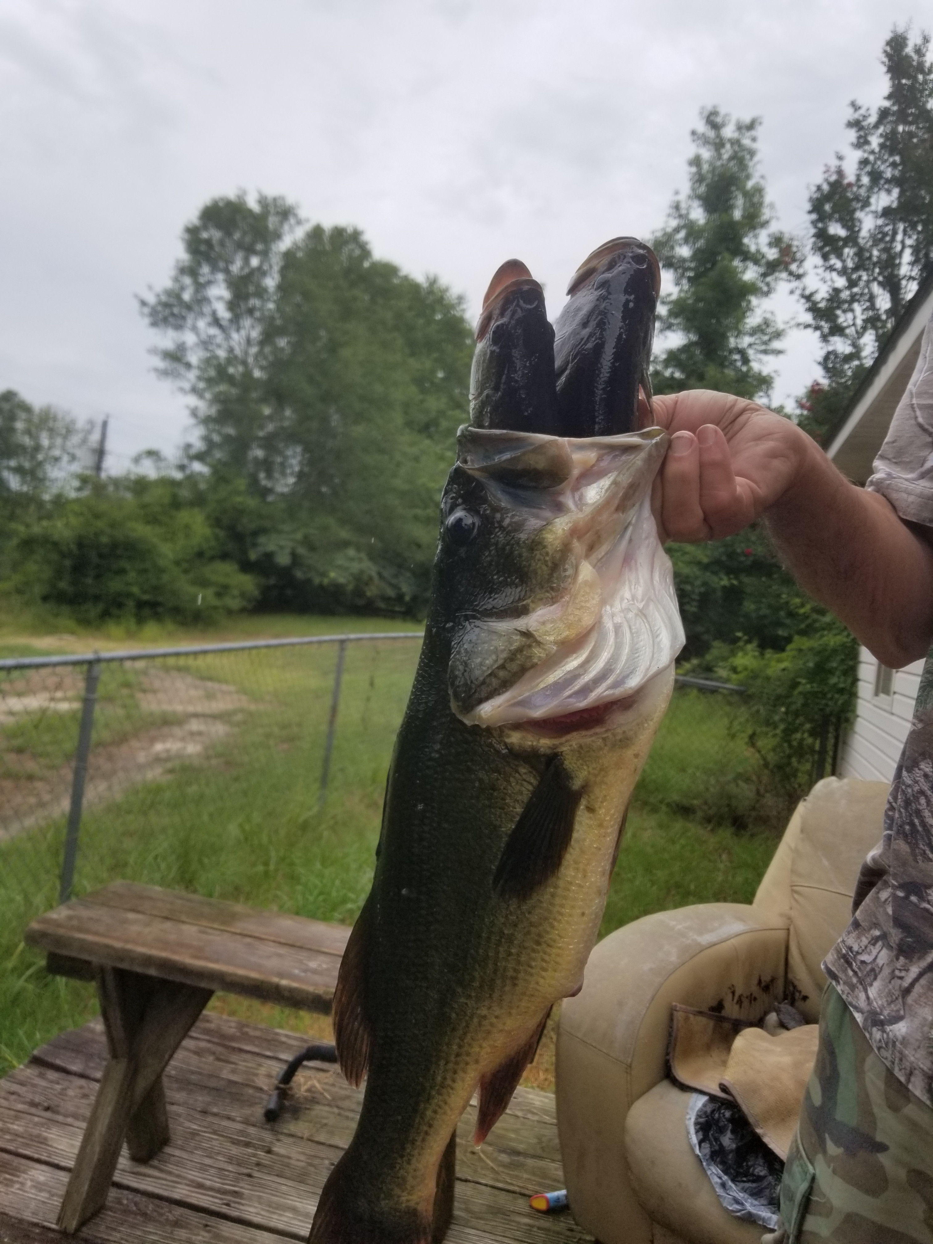 Customer Catch Story: Ryan Beebe