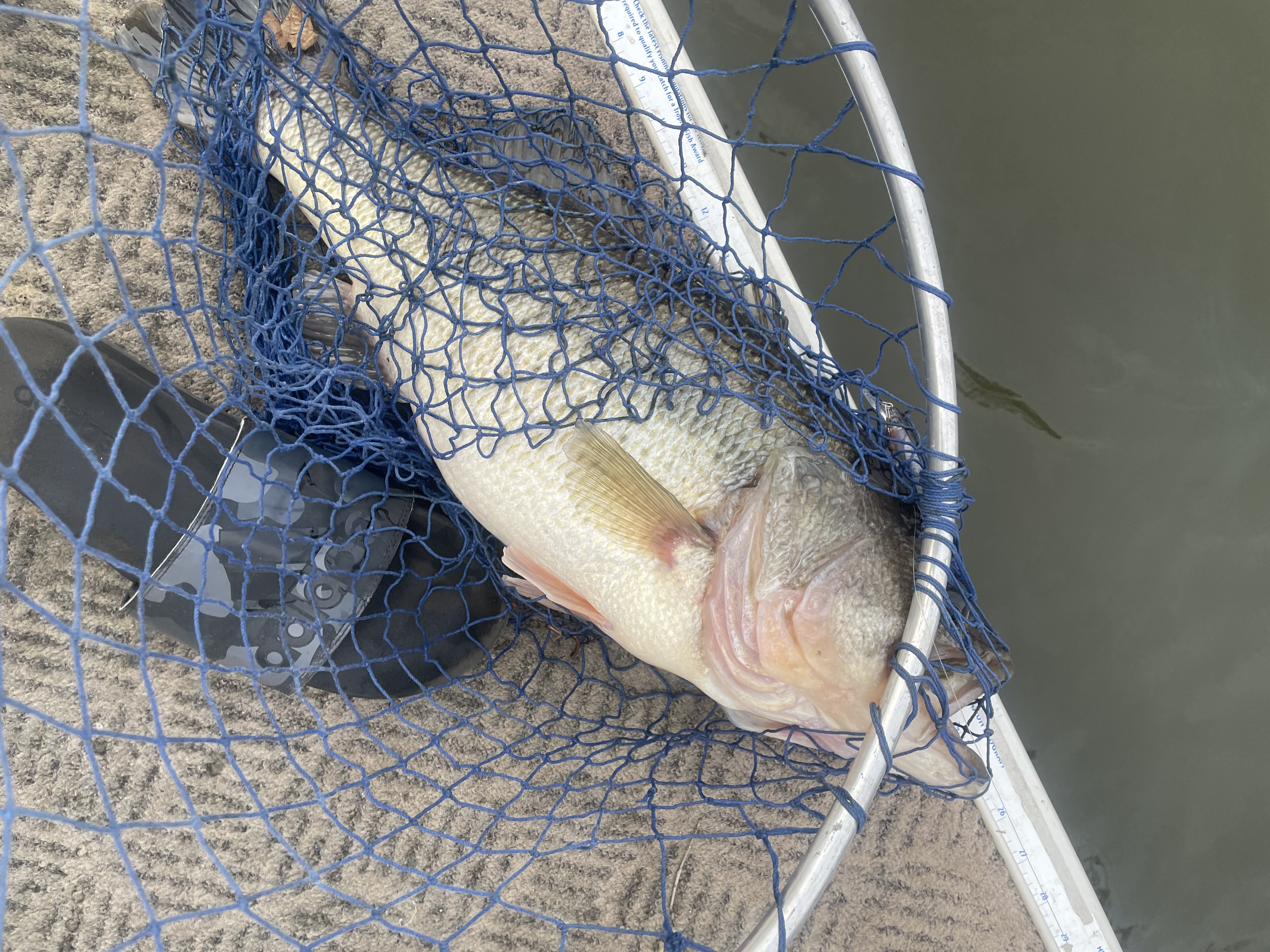 Customer Catch Story: Mike Mason