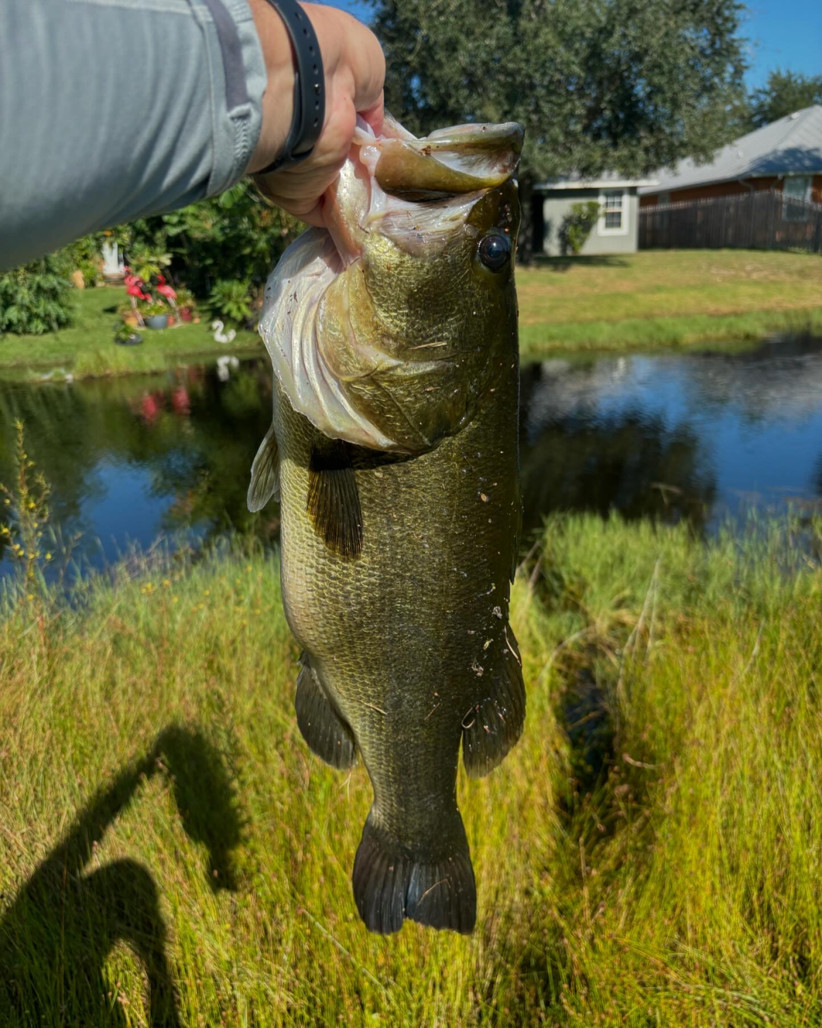 Customer Catch Story: Justin Smith